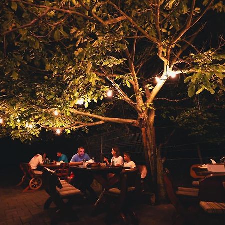 Hanu Lui Gica Spa Satu Mare Buitenkant foto