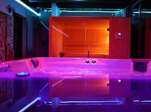 Hanu Lui Gica Spa Satu Mare Buitenkant foto