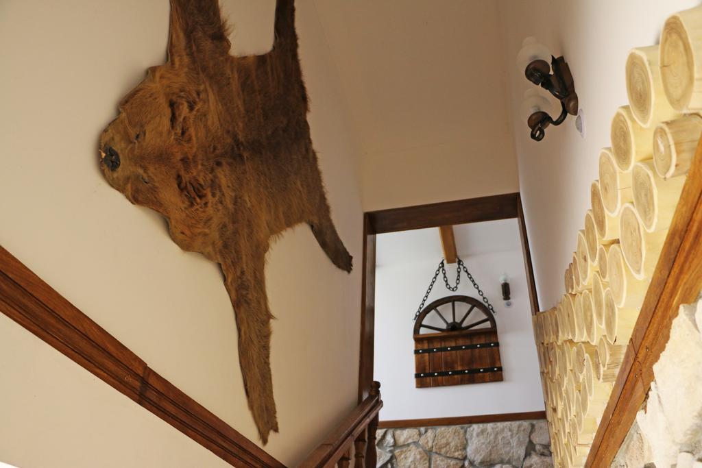 Hanu Lui Gica Spa Satu Mare Buitenkant foto