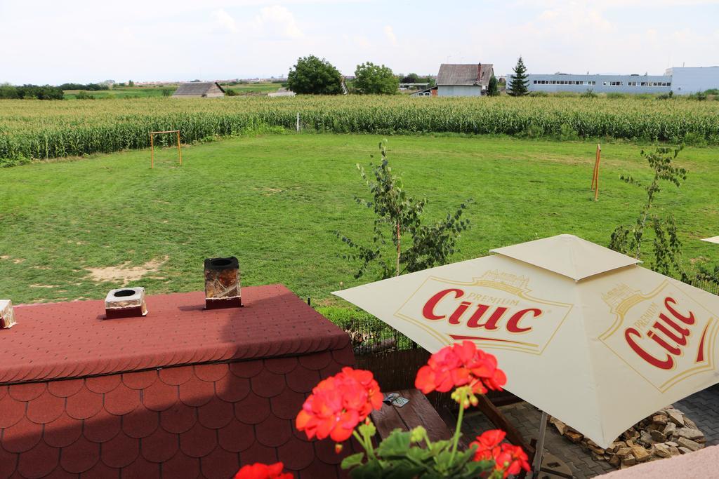 Hanu Lui Gica Spa Satu Mare Buitenkant foto